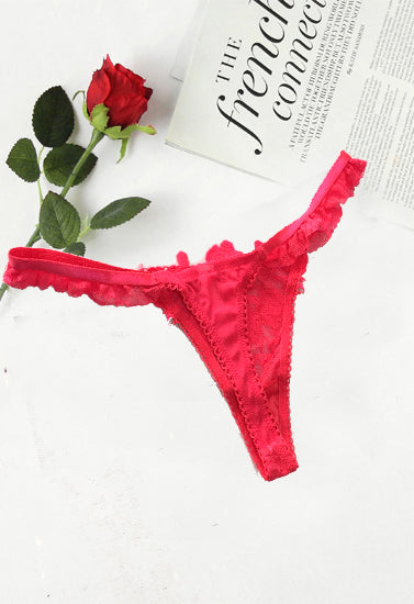 Crotch Embroidery Sexy Temptation String Lingerie, NikkiandNaomi